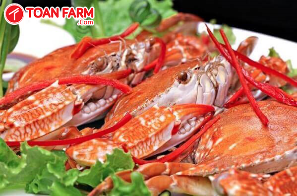 Ghẹ ngon, nhiều thịt