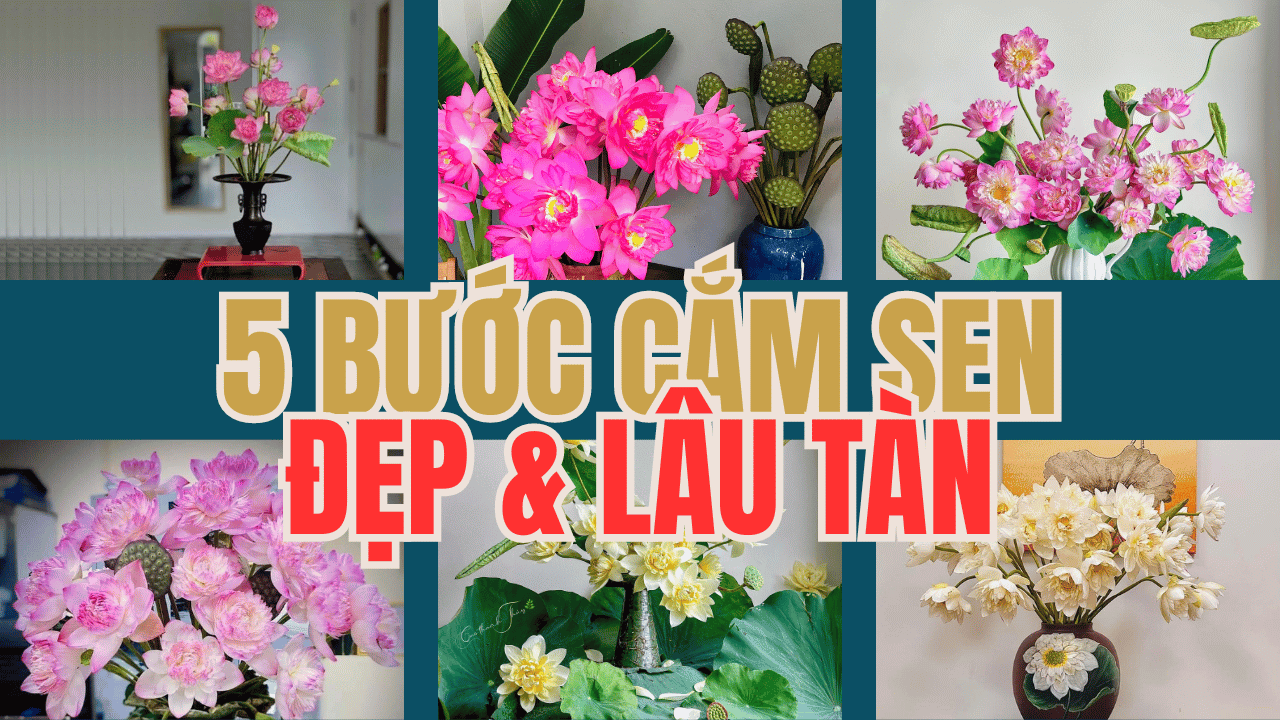 Bí quyết cắm hoa sen đẹp và lâu tàn | Sen Vô Ưu