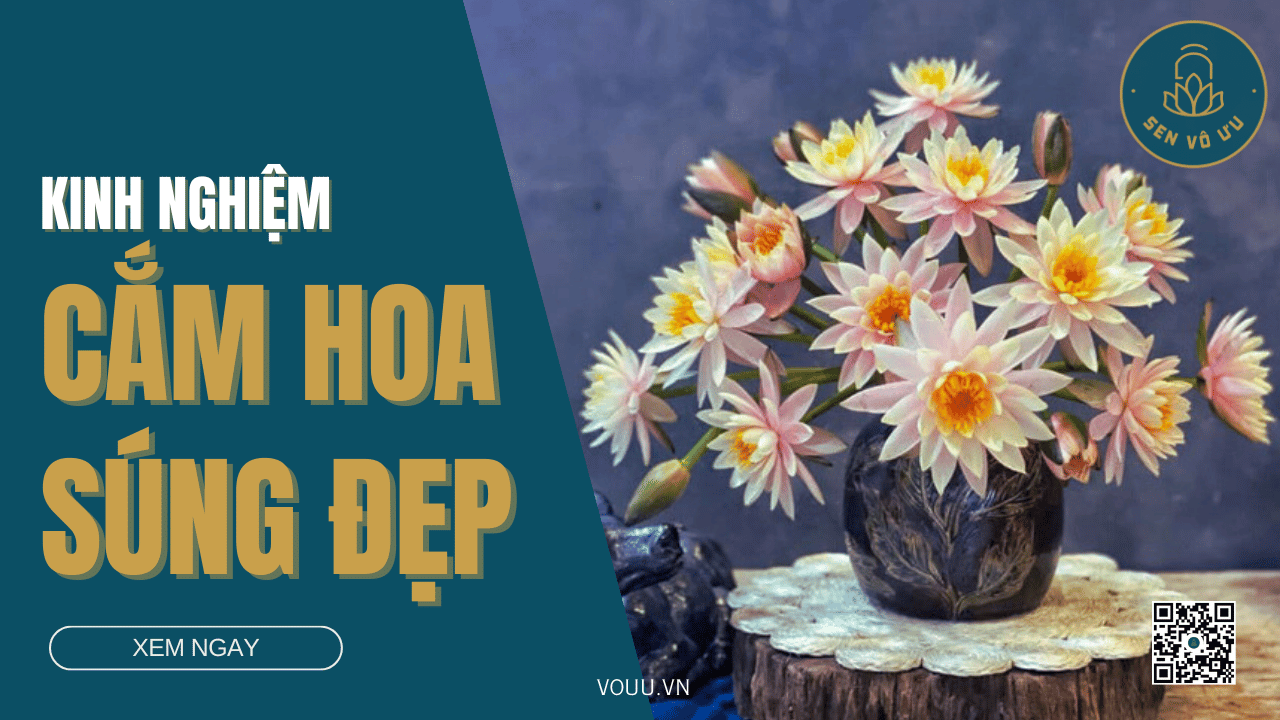 Hướng dẫn cắm hoa súng đẹp “đốn tim” vạn người | Sen Vô Ưu