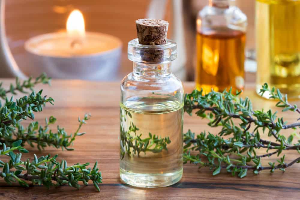 Tinh Dầu Cỏ Xạ Hương - Thyme Viet Gaia Oil