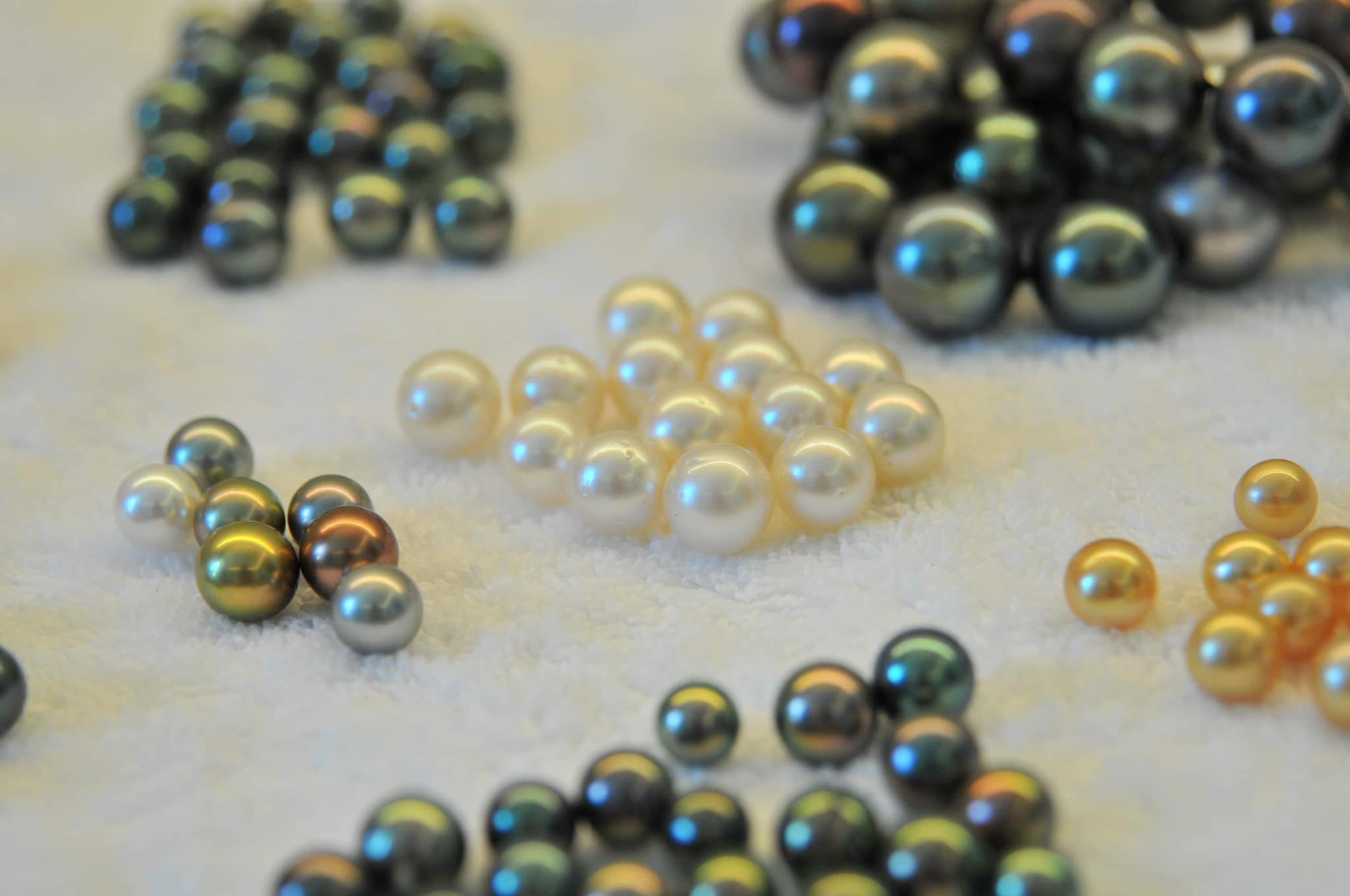Ngọc trai tahiti nhà Marian Pearls