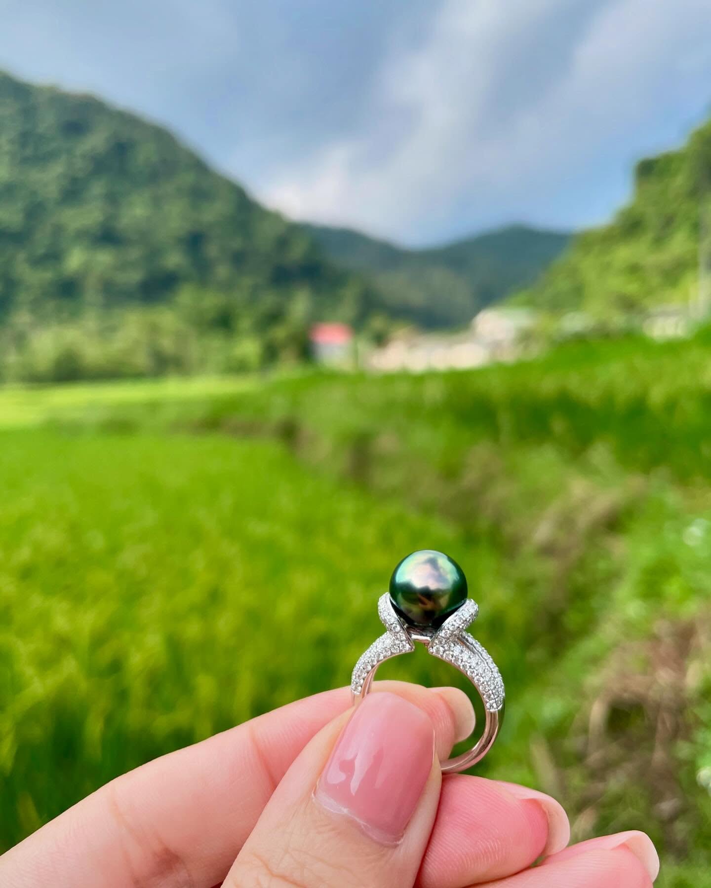 Ngọc Trai Màu Xanh Lông Công: Viên Bảo Ngọc Của Đại Dương