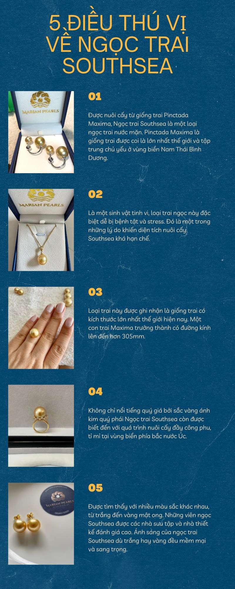 Infographic 5 Điều Thú Vị Về Ngọc Trai Southsea