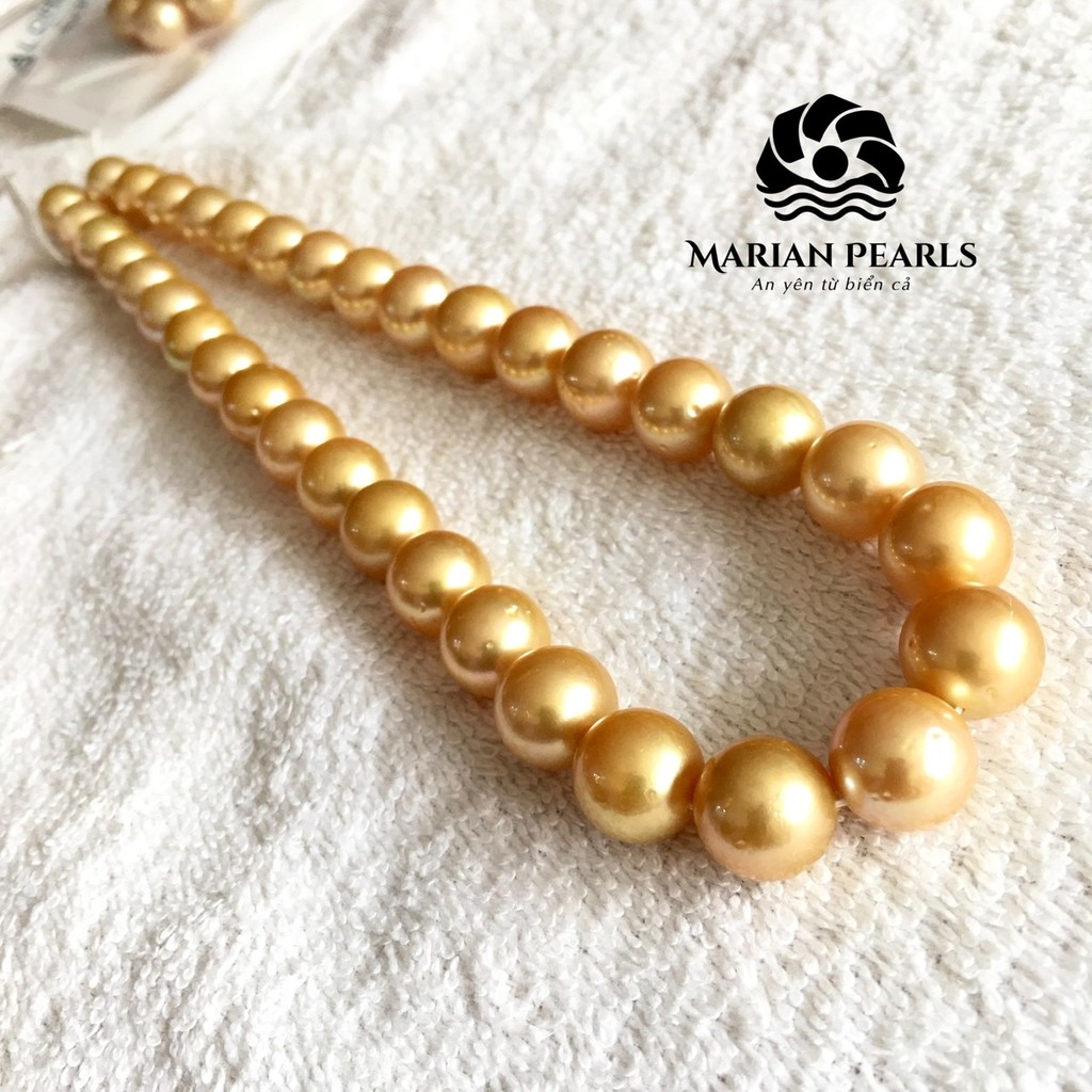 Ngọc trai Southsea vàng thương hiệu Marian Pearls