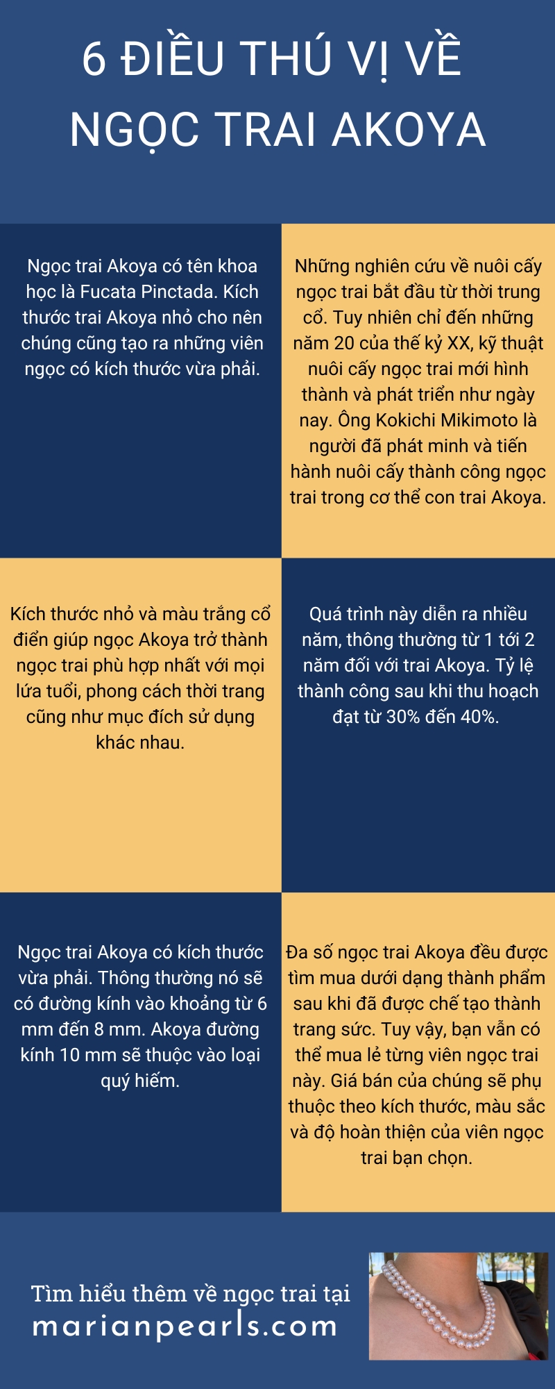 Infographic 6 Điều Thú Vị Về Ngọc Trai Akoya