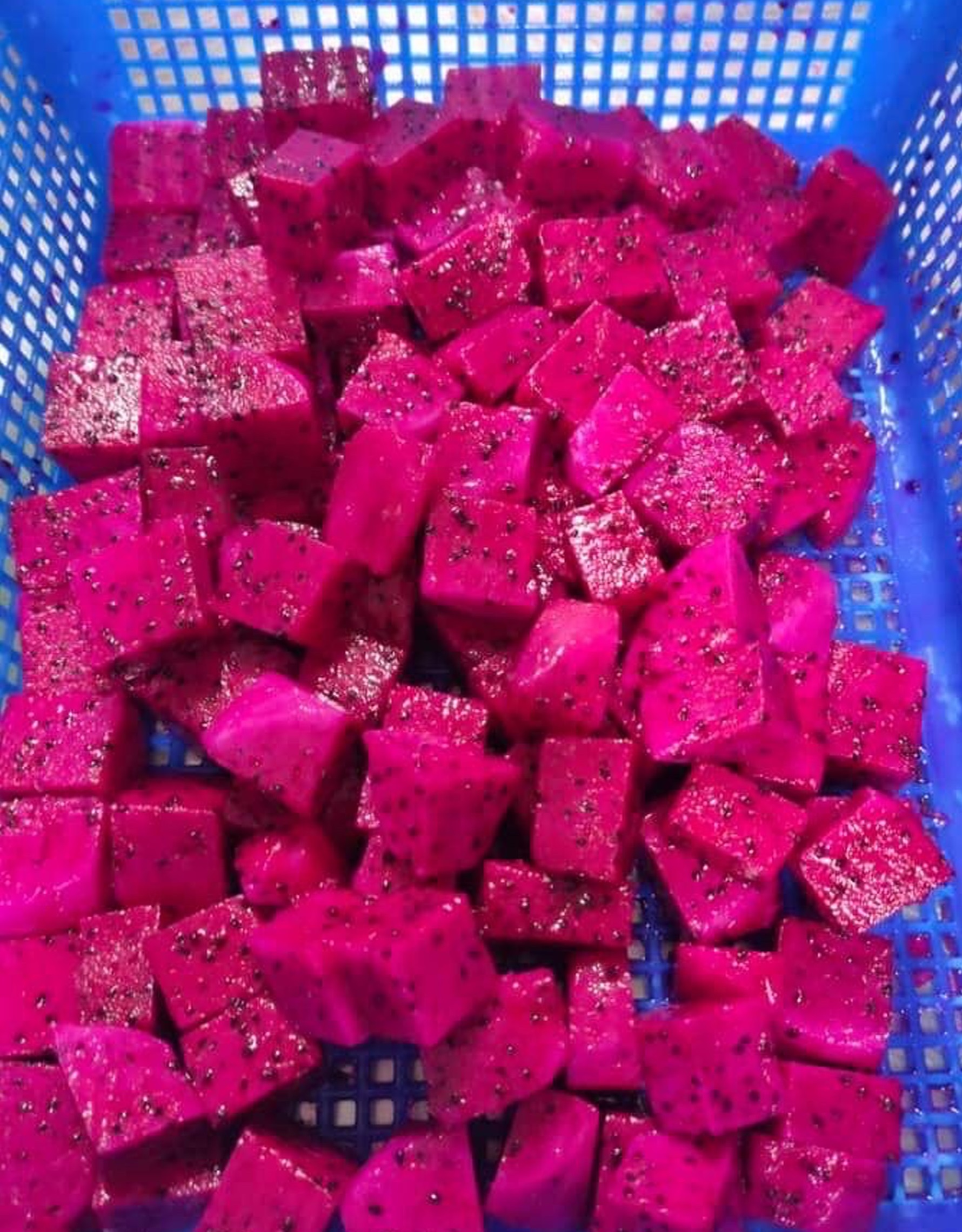 FROZEN DRAGON FRUITS THANH LONG ĐÔNG LẠNH King Agro