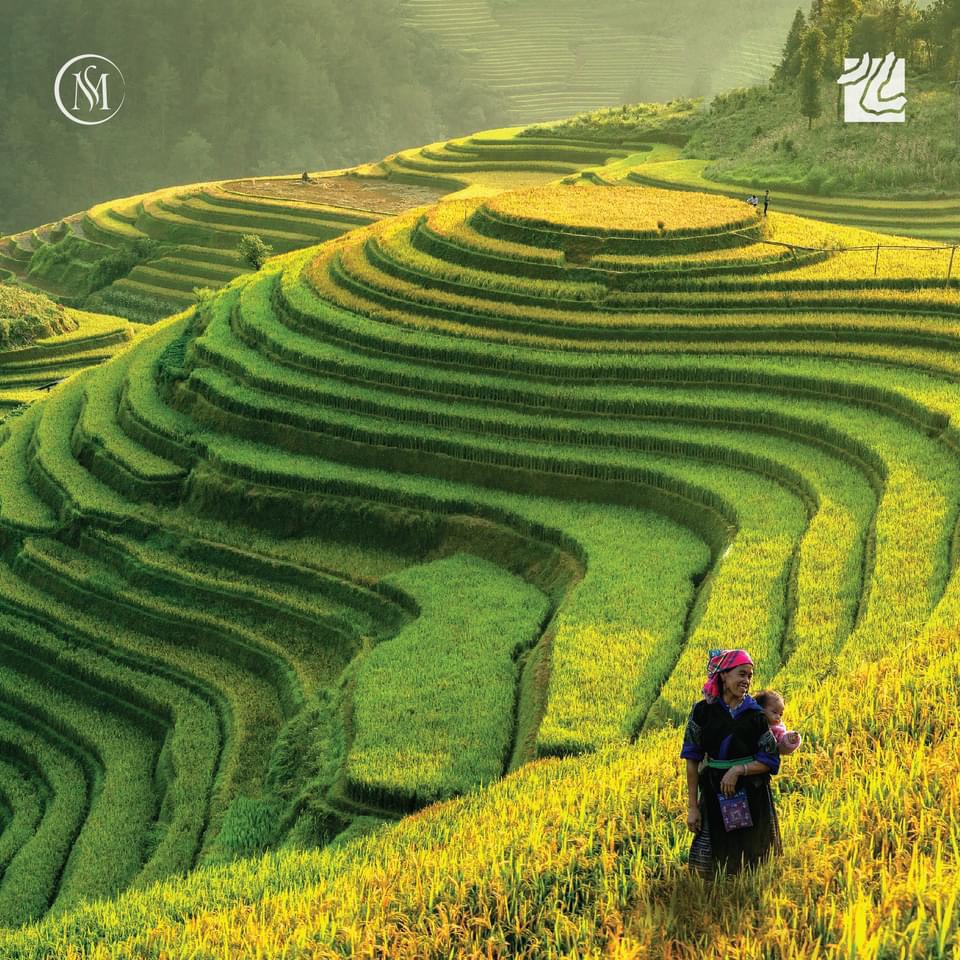 THIÊN NHIÊN VIỆT NAM - MÓN QUÀ CỦA TẠO HOÁ