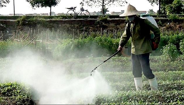 Thực phẩm “bẩn”: Khi đồng tiền “đè” mất lương tri