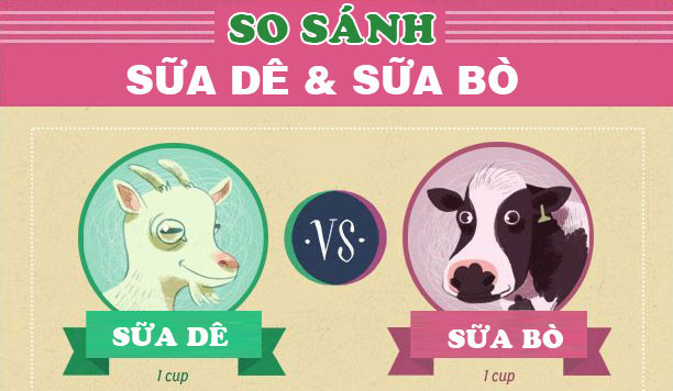 So sánh thành phần dinh dưỡng của sữa dê và sữa bò