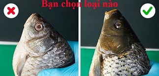 Bỏ túi mẹo vặt nhận biết thực phẩm 