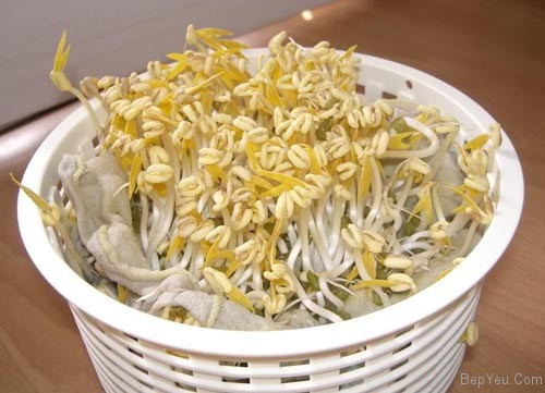 Cách làm giá đỗ đơn giản rất an toàn