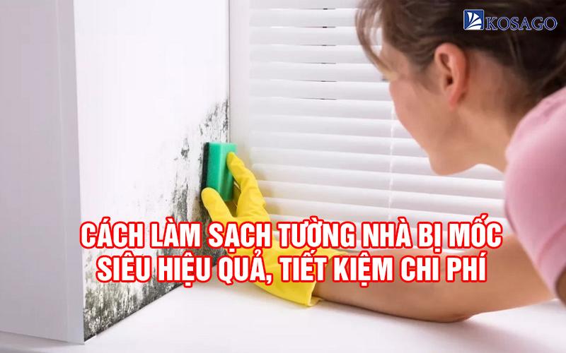 Cách tẩy vết ẩm mốc trên tường nhà nhanh chóng ai cũng làm được