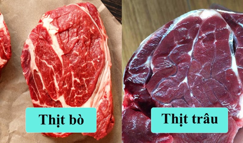 Hướng dẫn cách phân biệt thịt bò và thịt trâu đơn giản nhất dành cho bạn