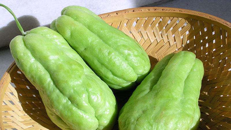Nhiều người đồn đoán lớp mủ su su gây độc, thực hư thế nào?