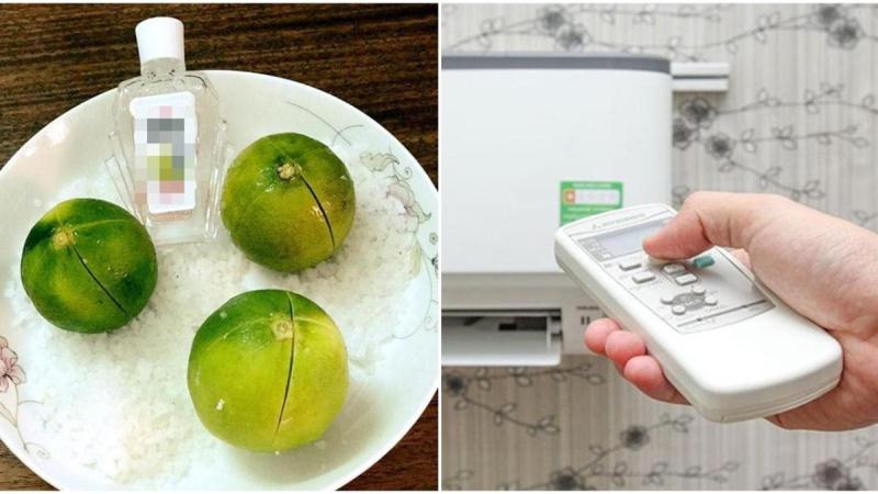 Đặt một đĩa chanh muối trong phòng, vừa đuổi côn trùng lại còn giúp ngủ ngon