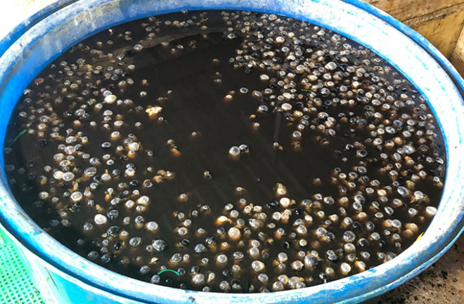 Tội ác mang tên thực phẩm bẩn