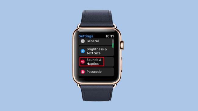 Hướng Dẫn Tắt Tiếng Và Thay Đổi Âm Lượng Trên Apple Watch Hướng Dẫn Tắt Tiếng Và Thay Đổi Âm Lượng Trên Apple Watch