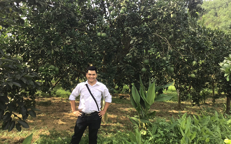 Anh Dương Ngọc Trường tại vườn bưởi Befine để sản xuất nước hoa bưởi