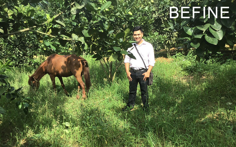 Vườn nguyên liệu bưởi Befine