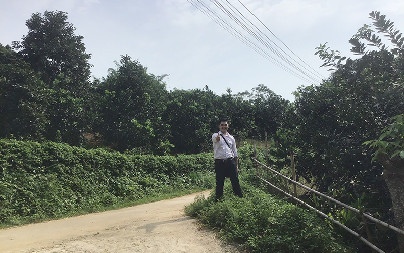 Anh Dương Ngọc Trường tại vườn bưởi Befine 3 để sản xuất nước hoa bưởi