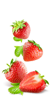 TƯ VẪN SẢN PHẨM