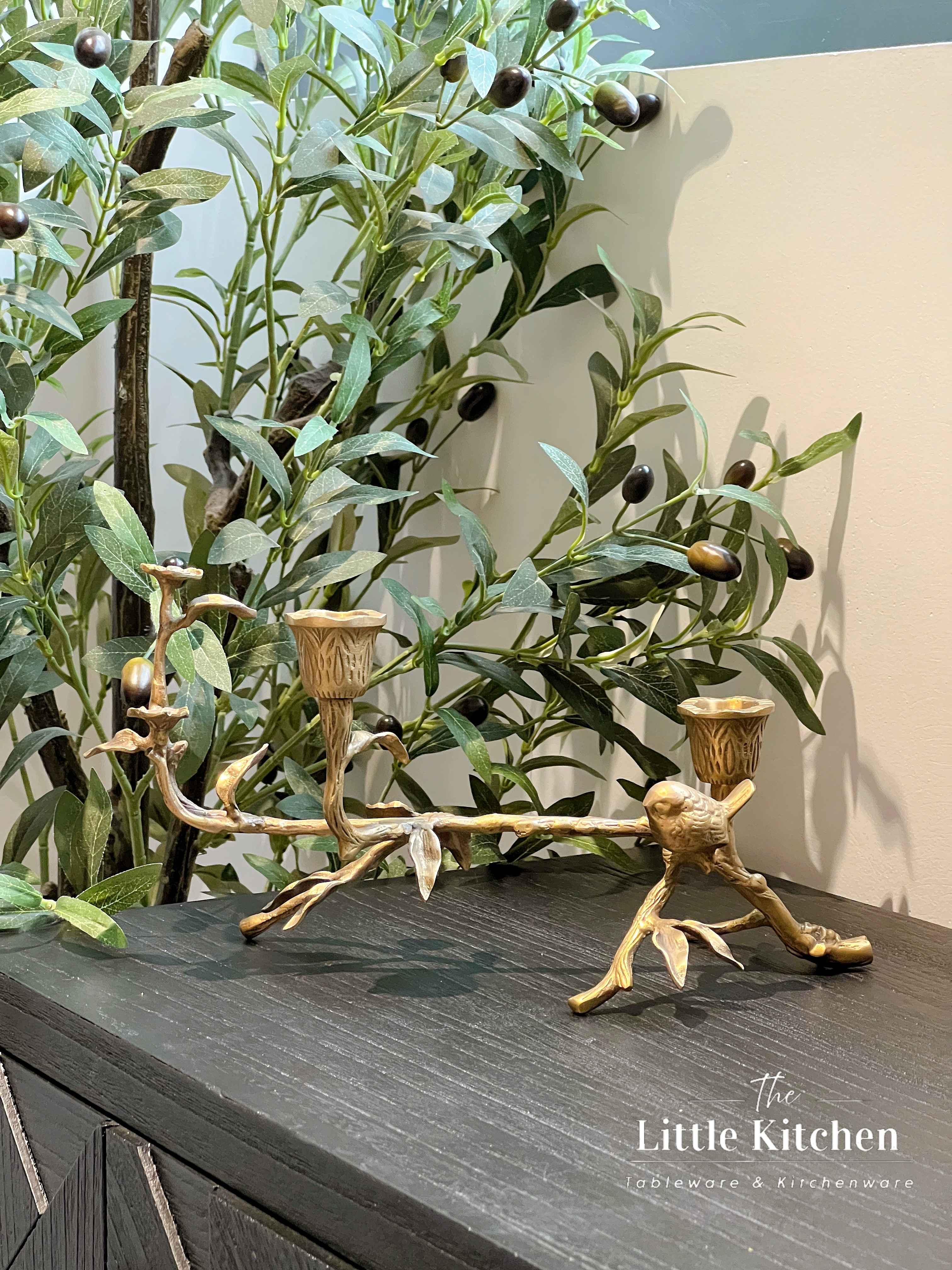 Ấn Độ chân nến cành hoa chim