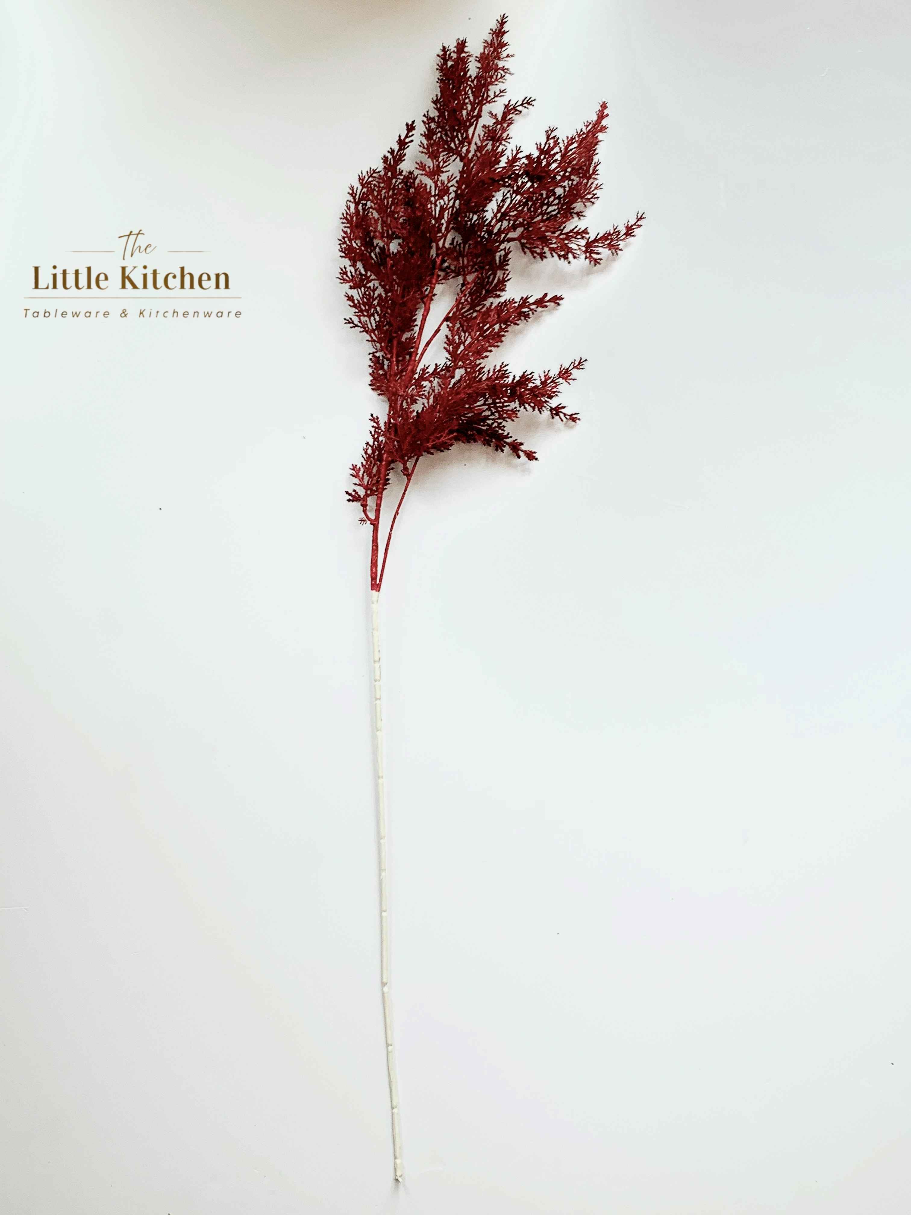 Cành dương xỉ nhỏ đỏ