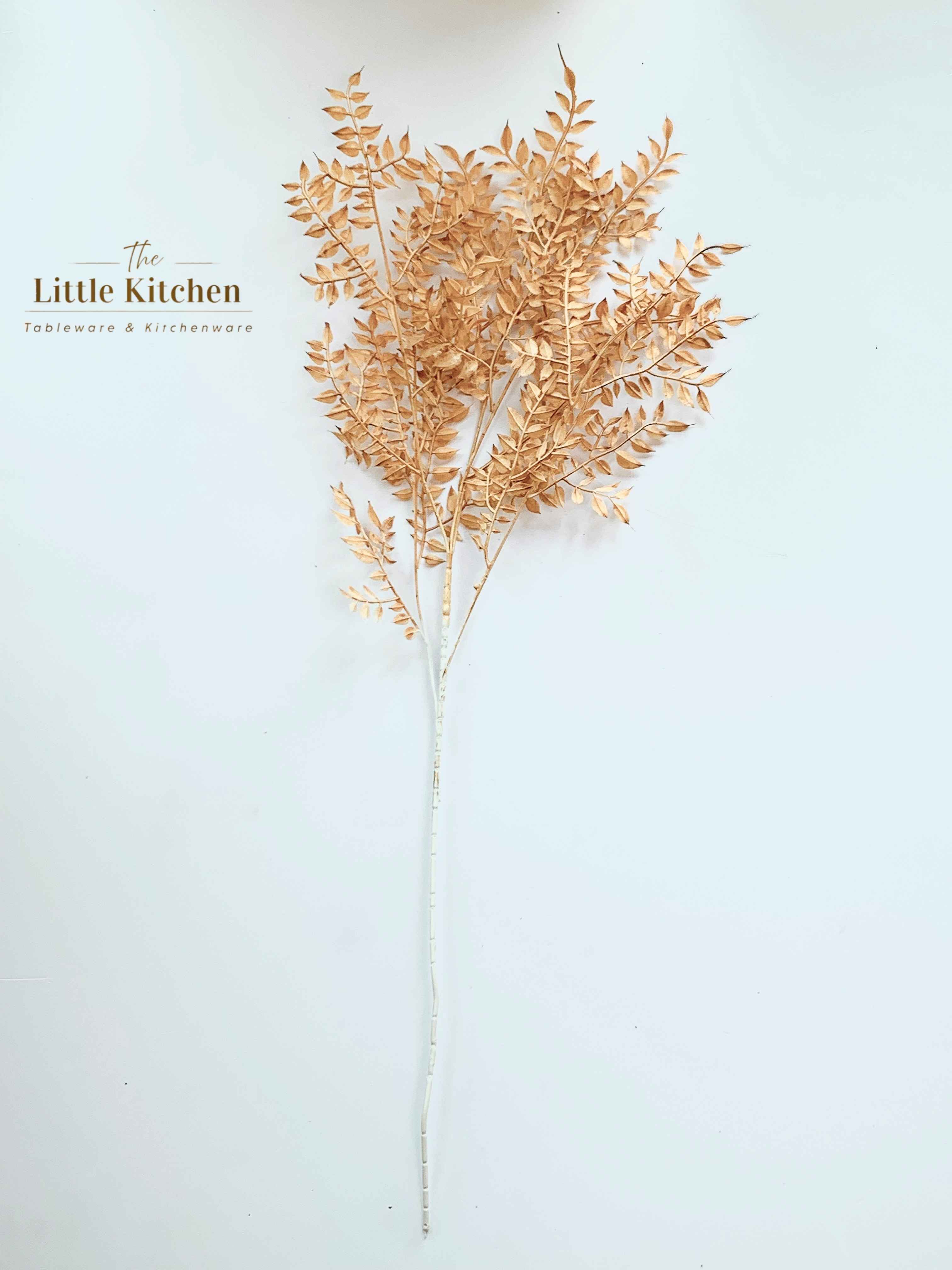 Cành lá li ti nâu