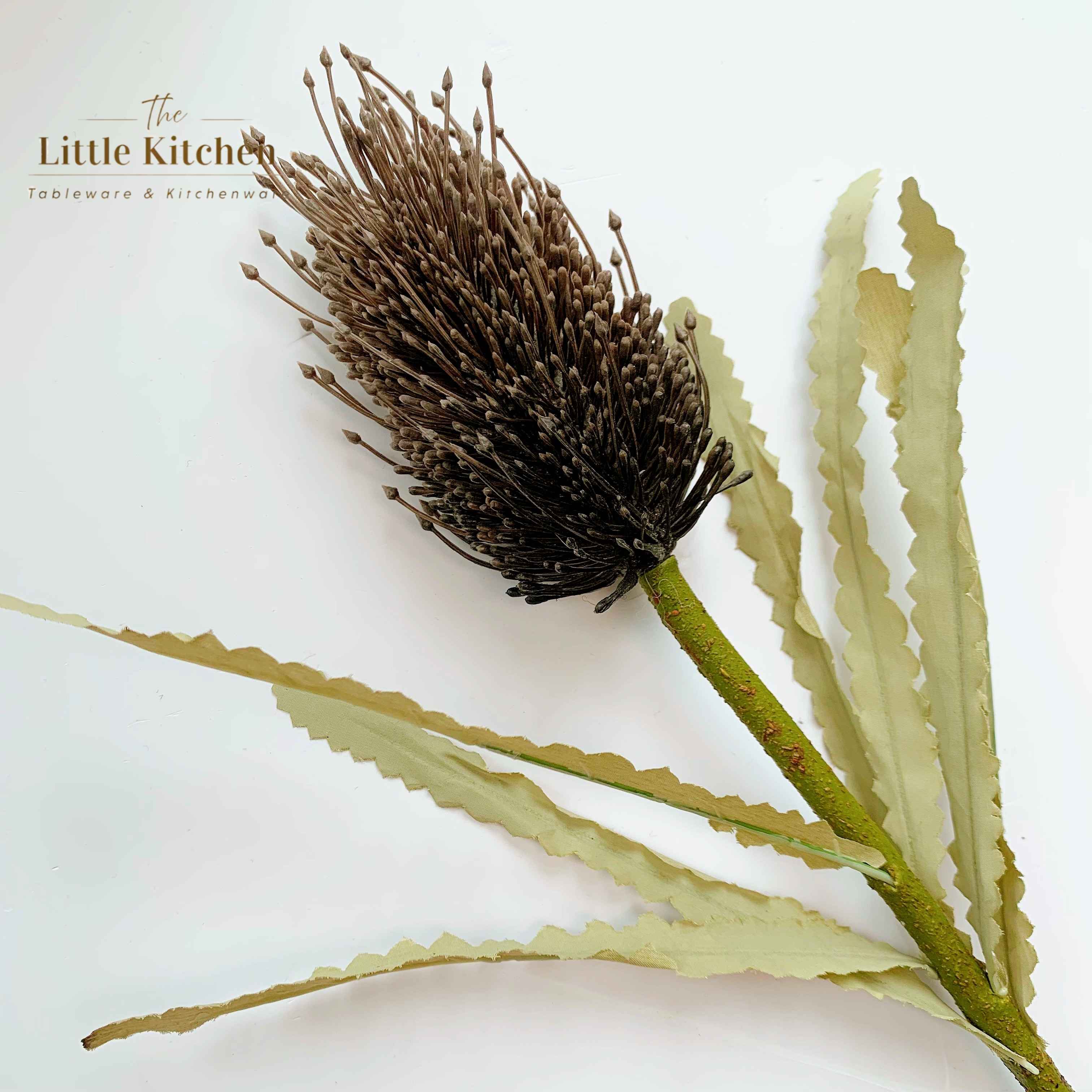 Cành hoa Banksia tím