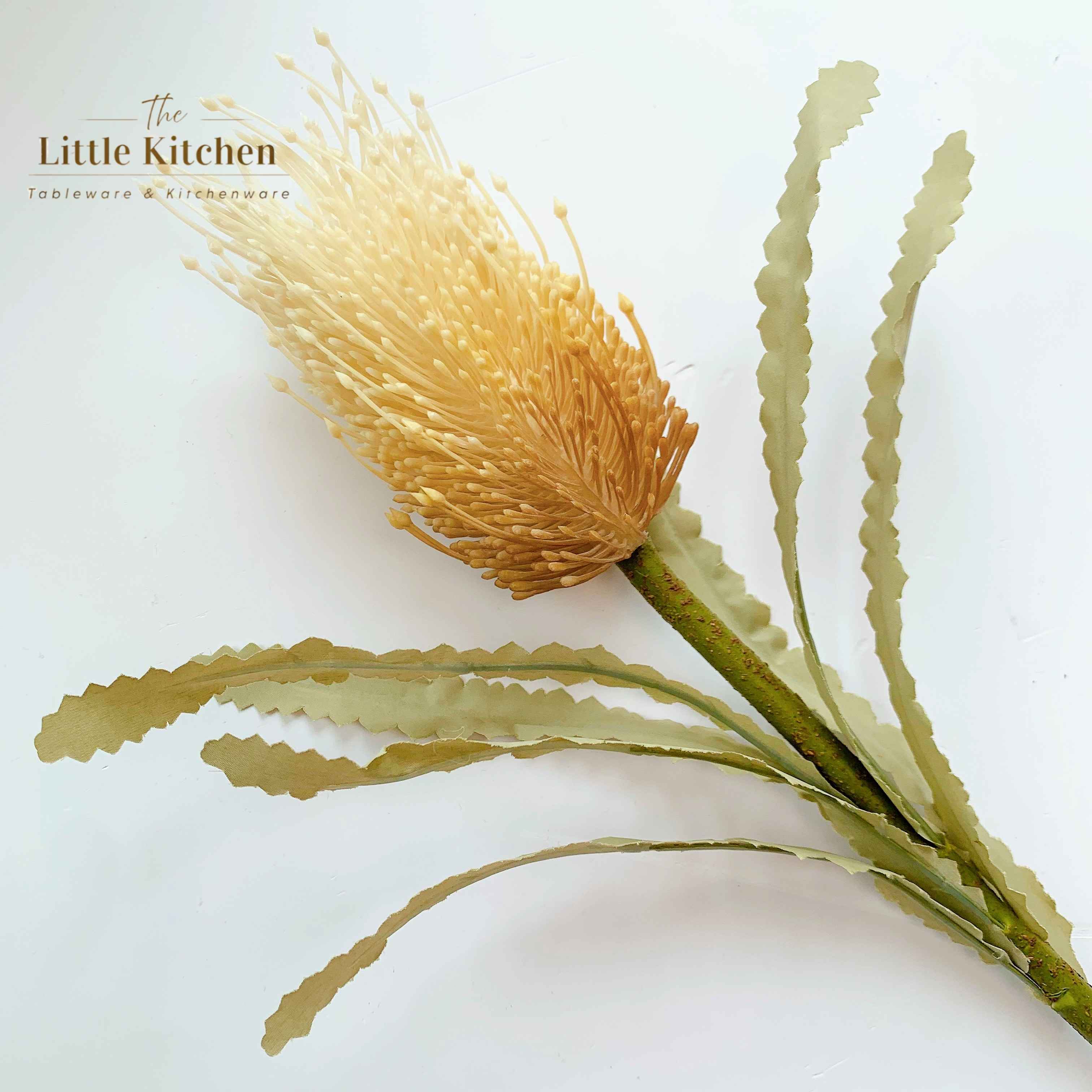 Cành hoa Banksia tím be