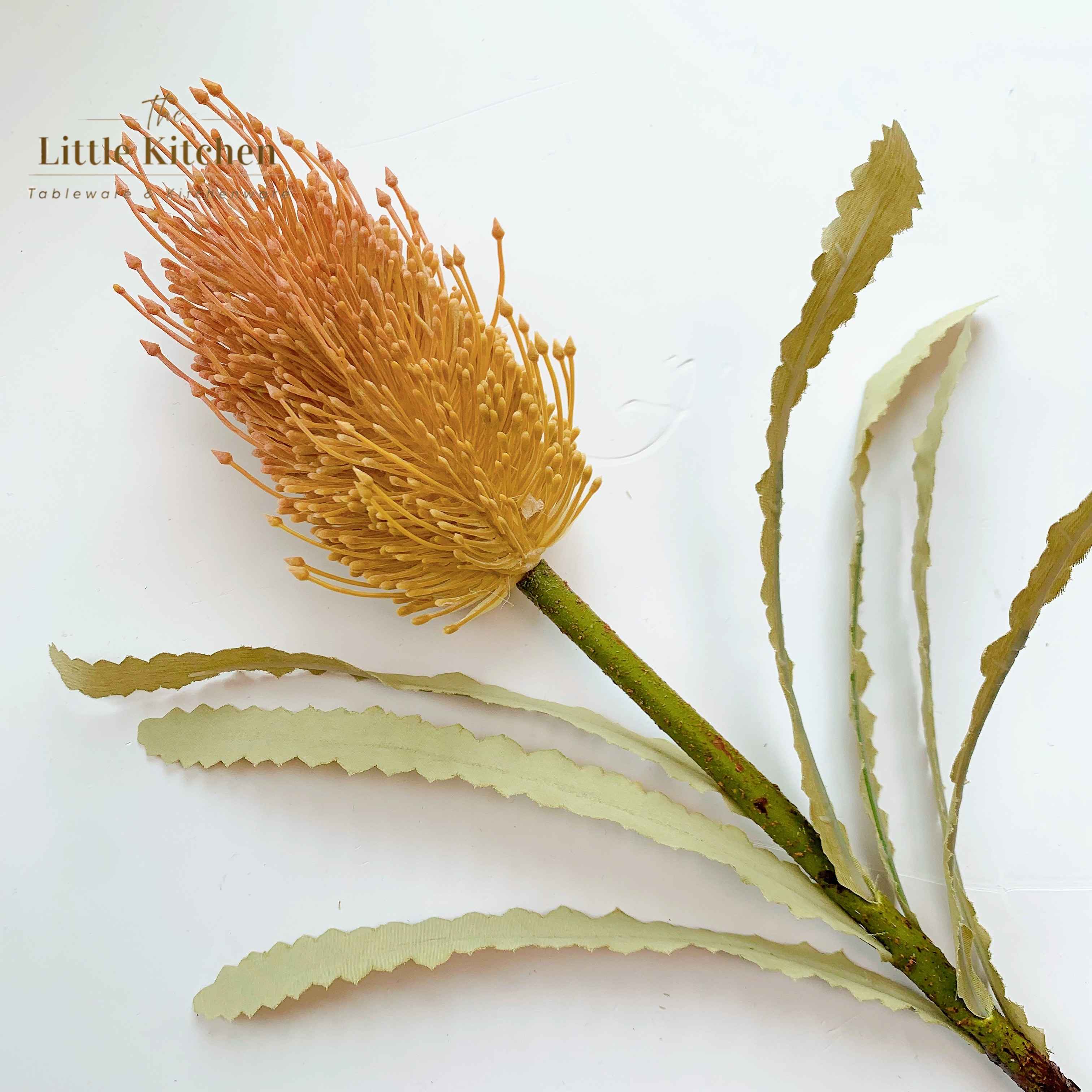 Cành hoa Banksia hồng