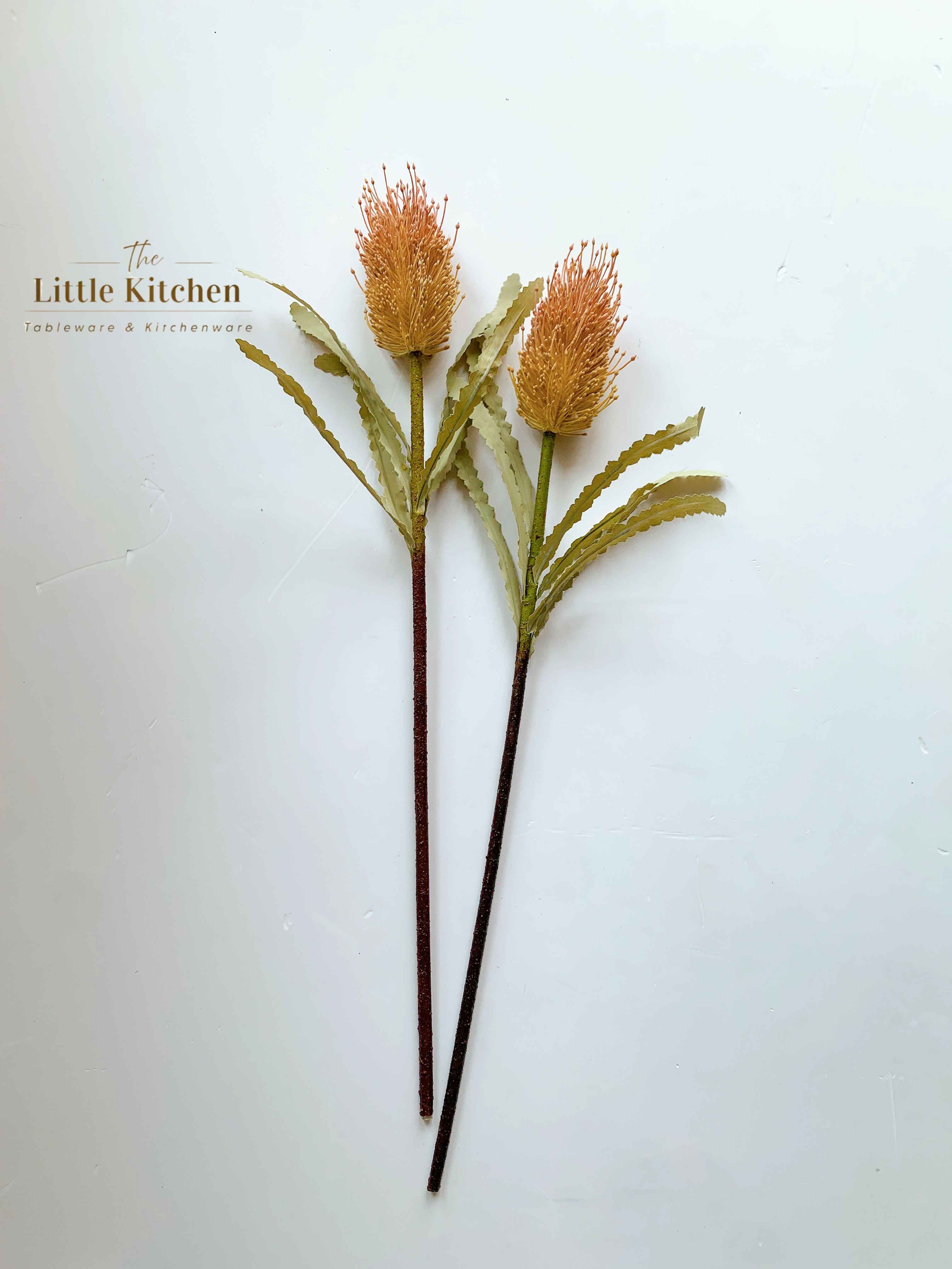 Cành hoa Banksia hồng