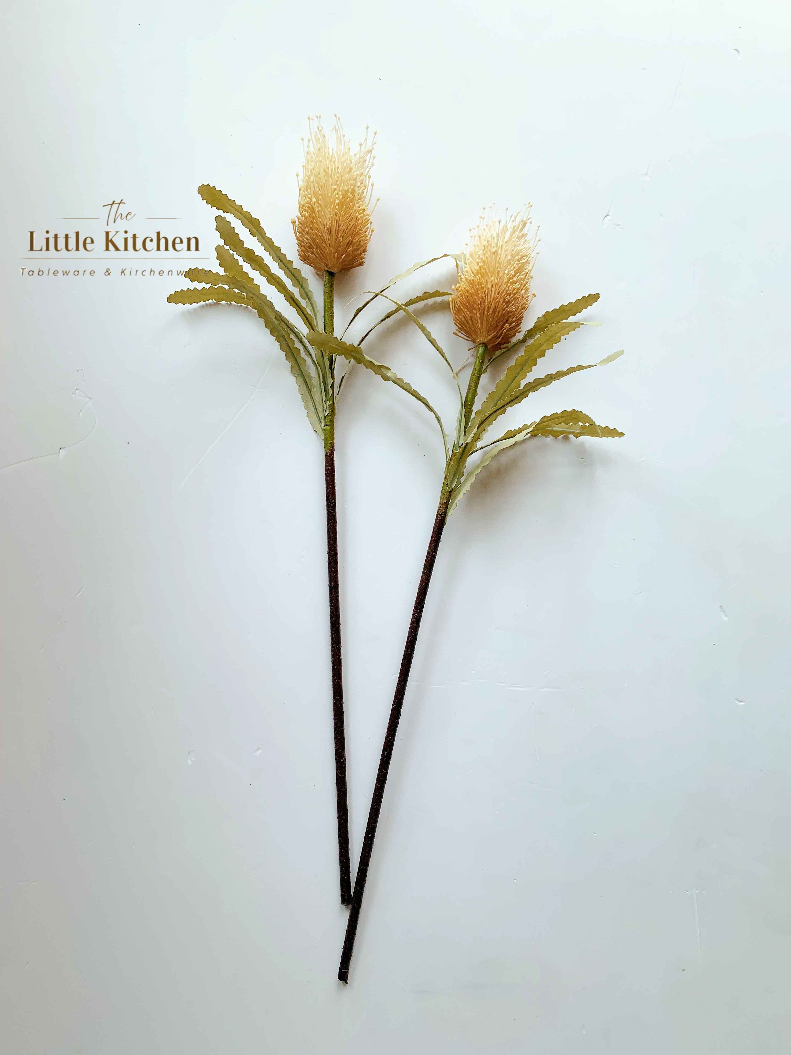 Cành hoa Banksia tím be