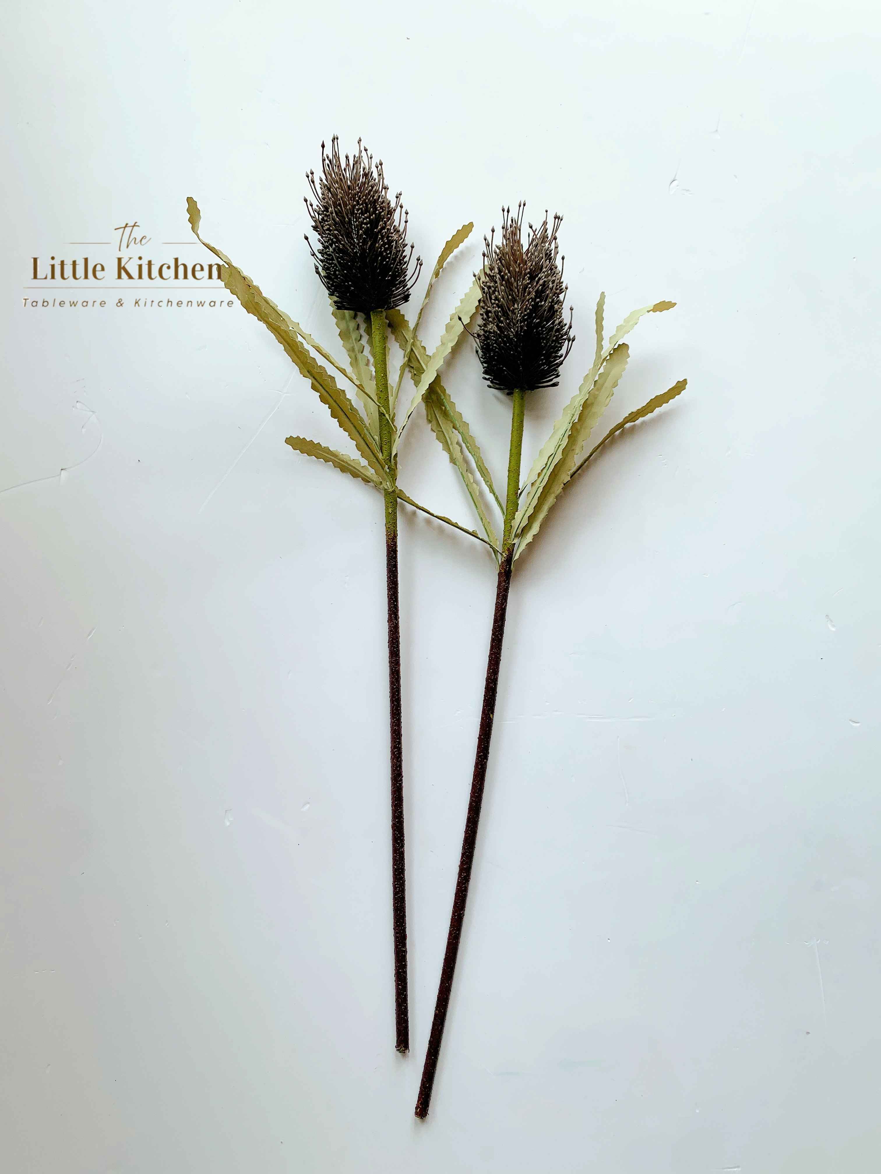 Cành hoa Banksia tím