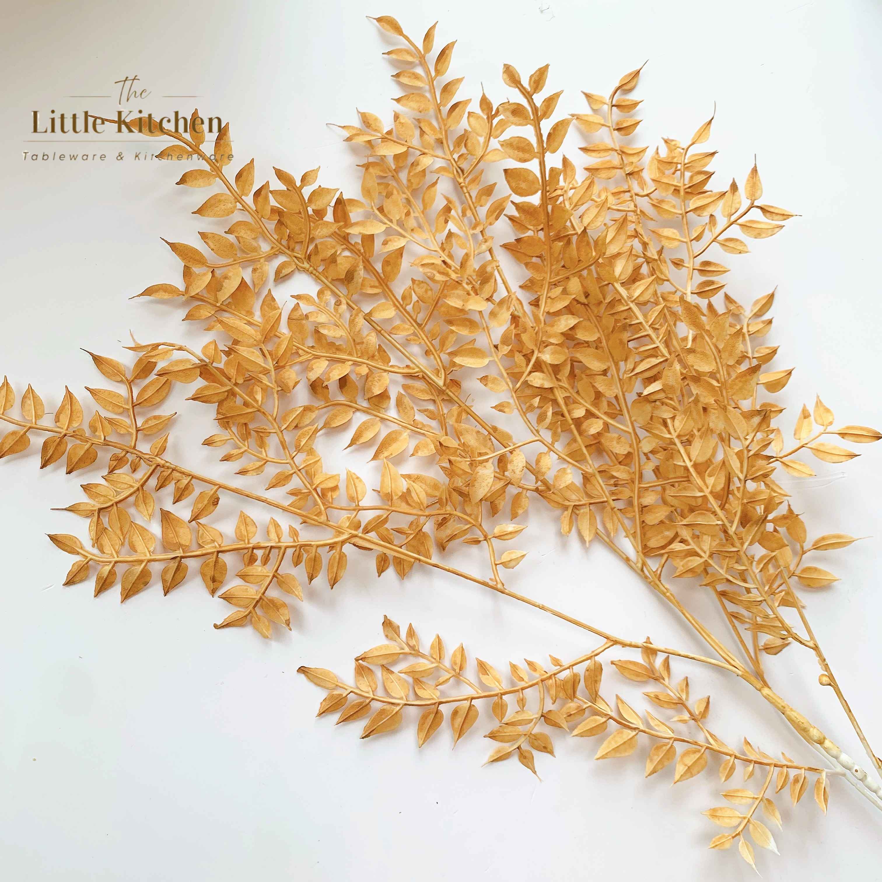 Cành lá li ti nâu