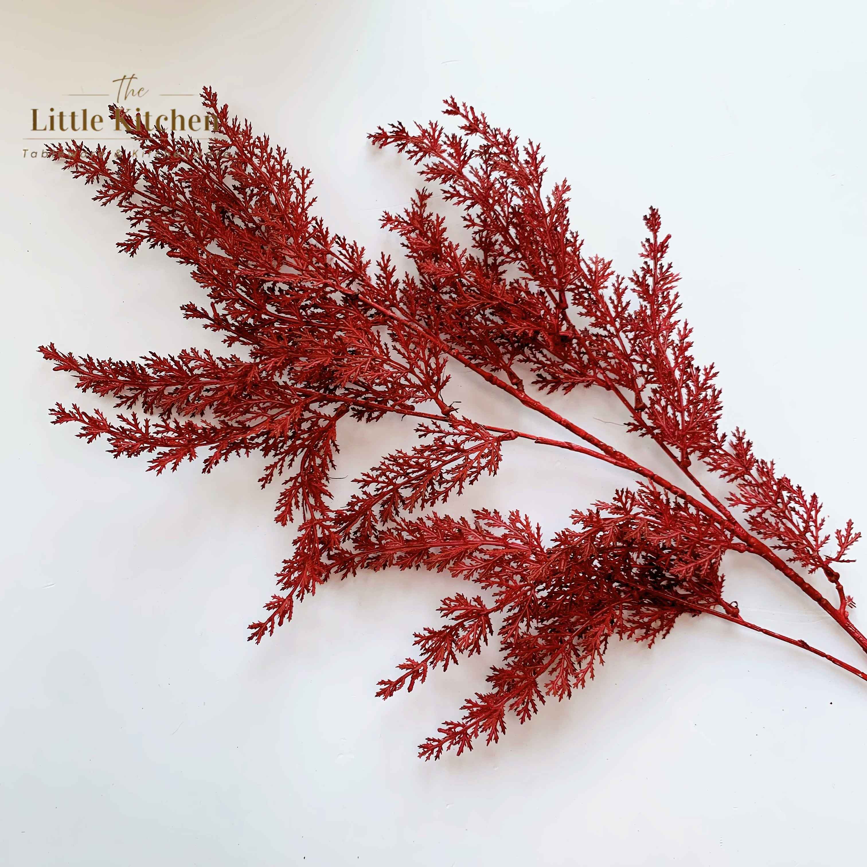 Cành dương xỉ nhỏ đỏ