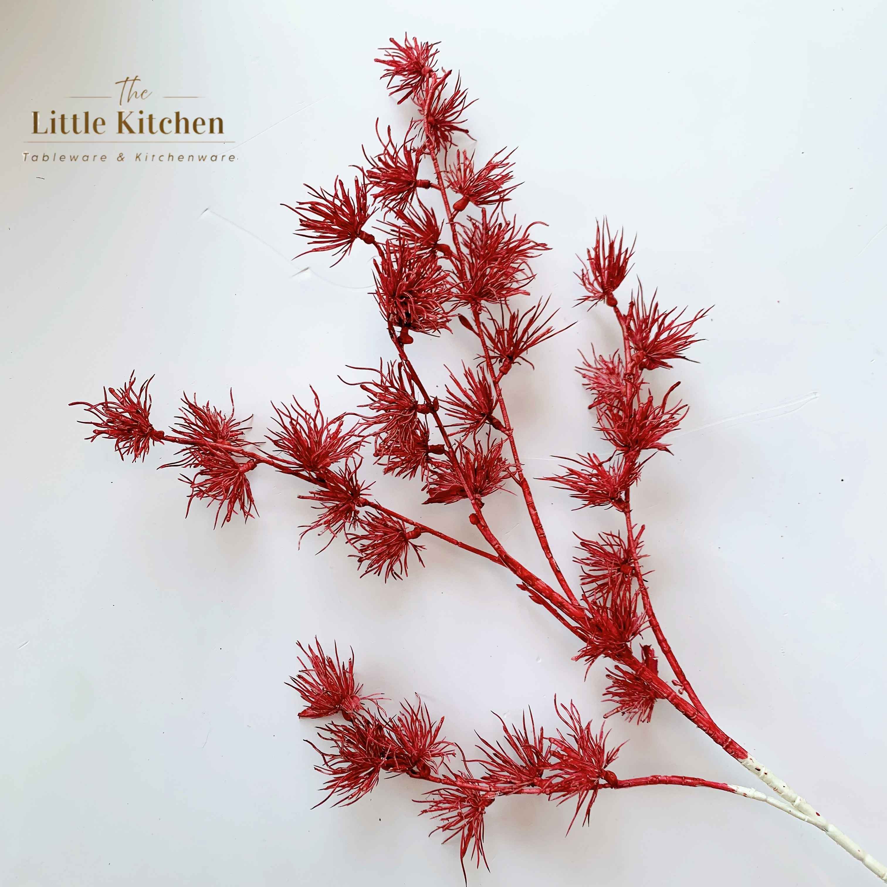 Cánh lá thông kim đỏ