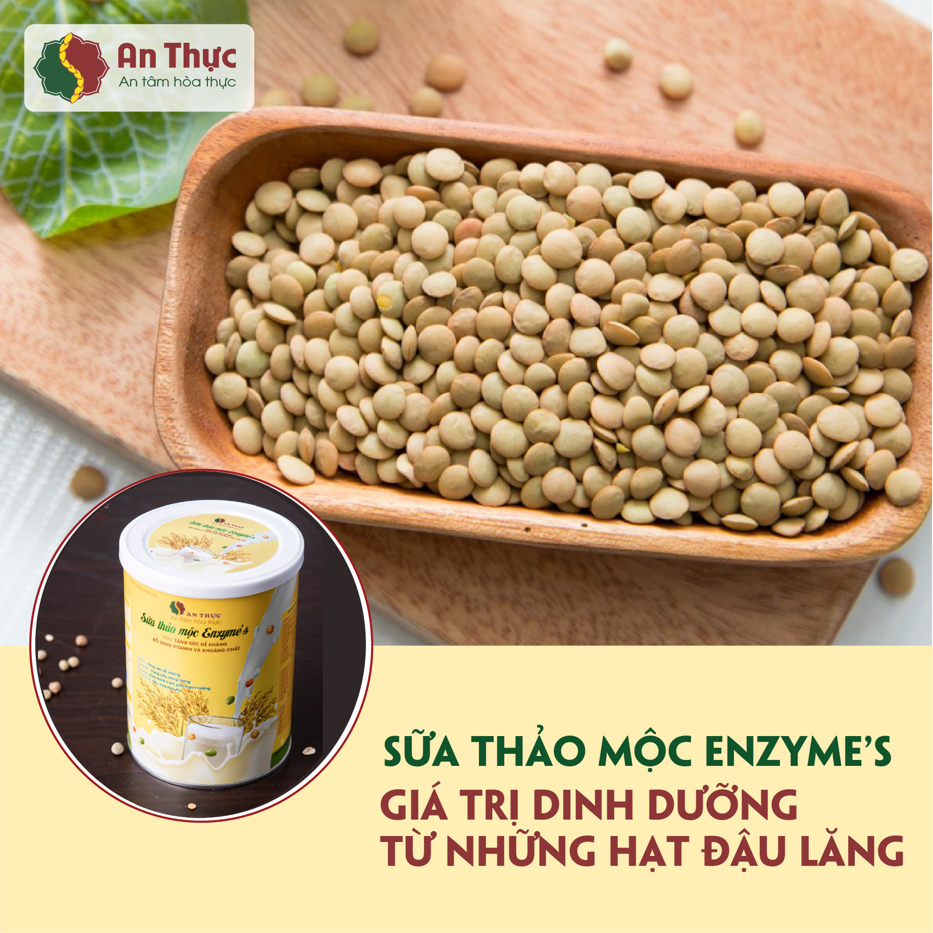 HẠT ĐẬU LĂNG BÉ XINH MANG TRONG MÌNH BAO DƯỠNG CHẤT AN LÀNH HẠT ĐẬU LĂNG BÉ XINH MANG TRONG MÌNH BAO DƯỠNG CHẤT AN LÀNH
