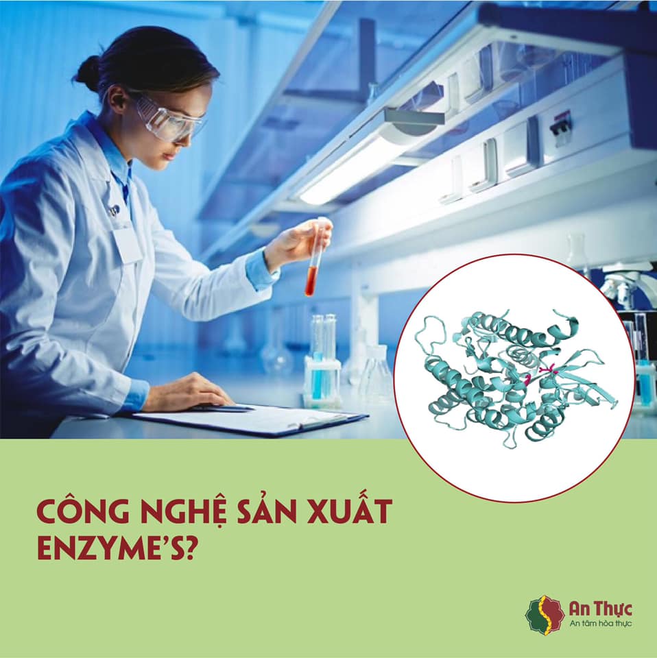 ĐÔI NÉT VỀ CÔNG NGHỆ SẢN XUẤT ENZYME'S CỦA AN THỰC ĐÔI NÉT VỀ CÔNG NGHỆ SẢN XUẤT ENZYME'S CỦA AN THỰC