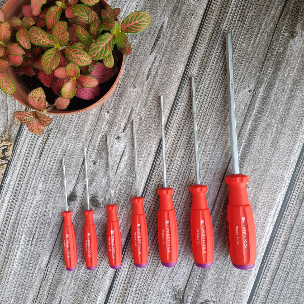 TUA VÍT LỤC GIÁC