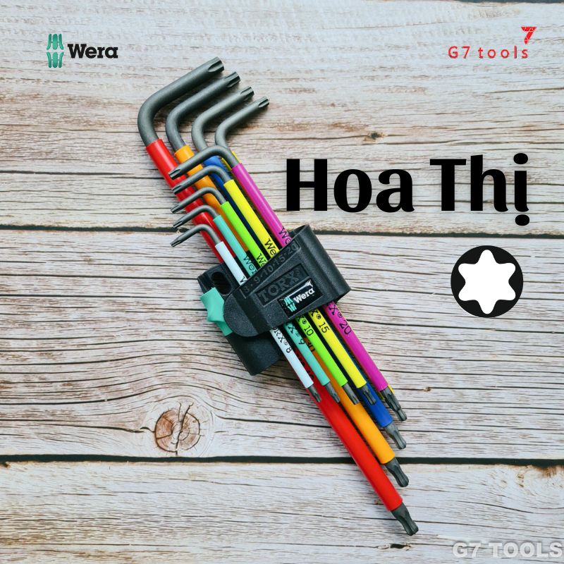 WERA - HOA THỊ