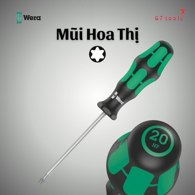 TUA VÍT MŨI HOA THỊ