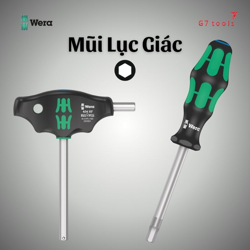 TUA VÍT MŨI LỤC GIÁC