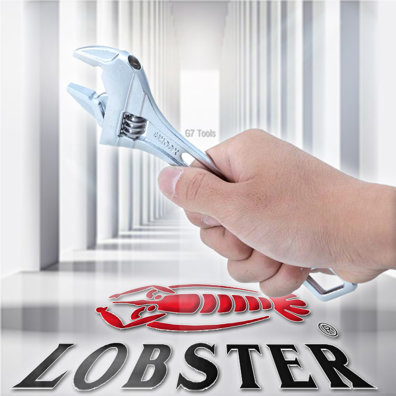 LOBSTER