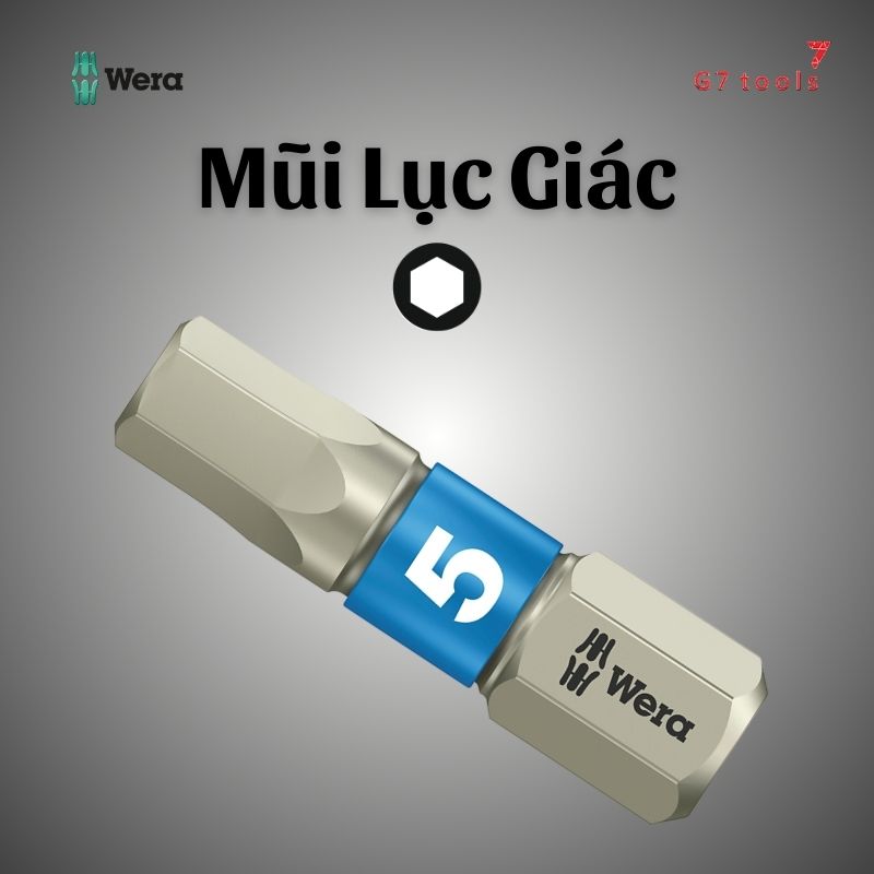 MŨI LỤC GIÁC