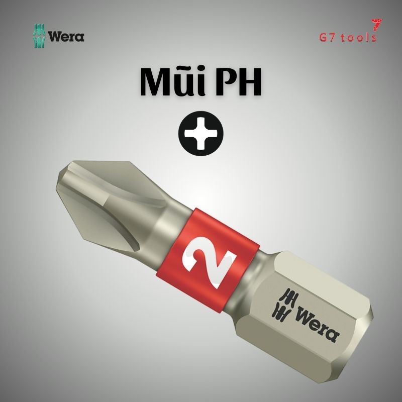 MŨI PH