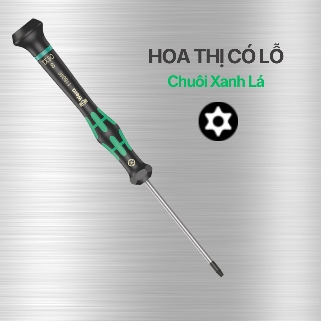 MŨI HOA THỊ CÓ LỖ