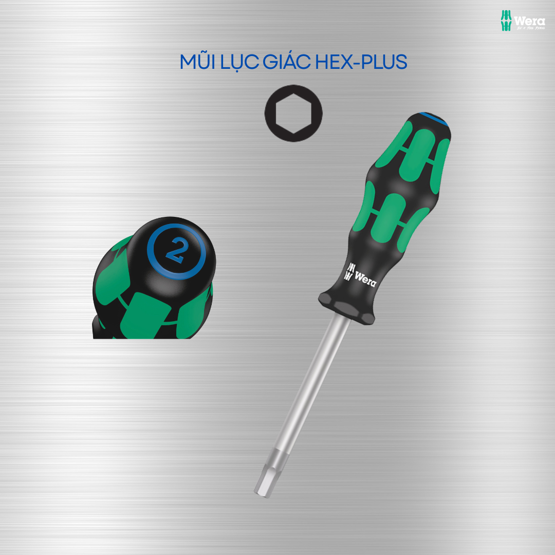 MŨI LỤC GIÁC