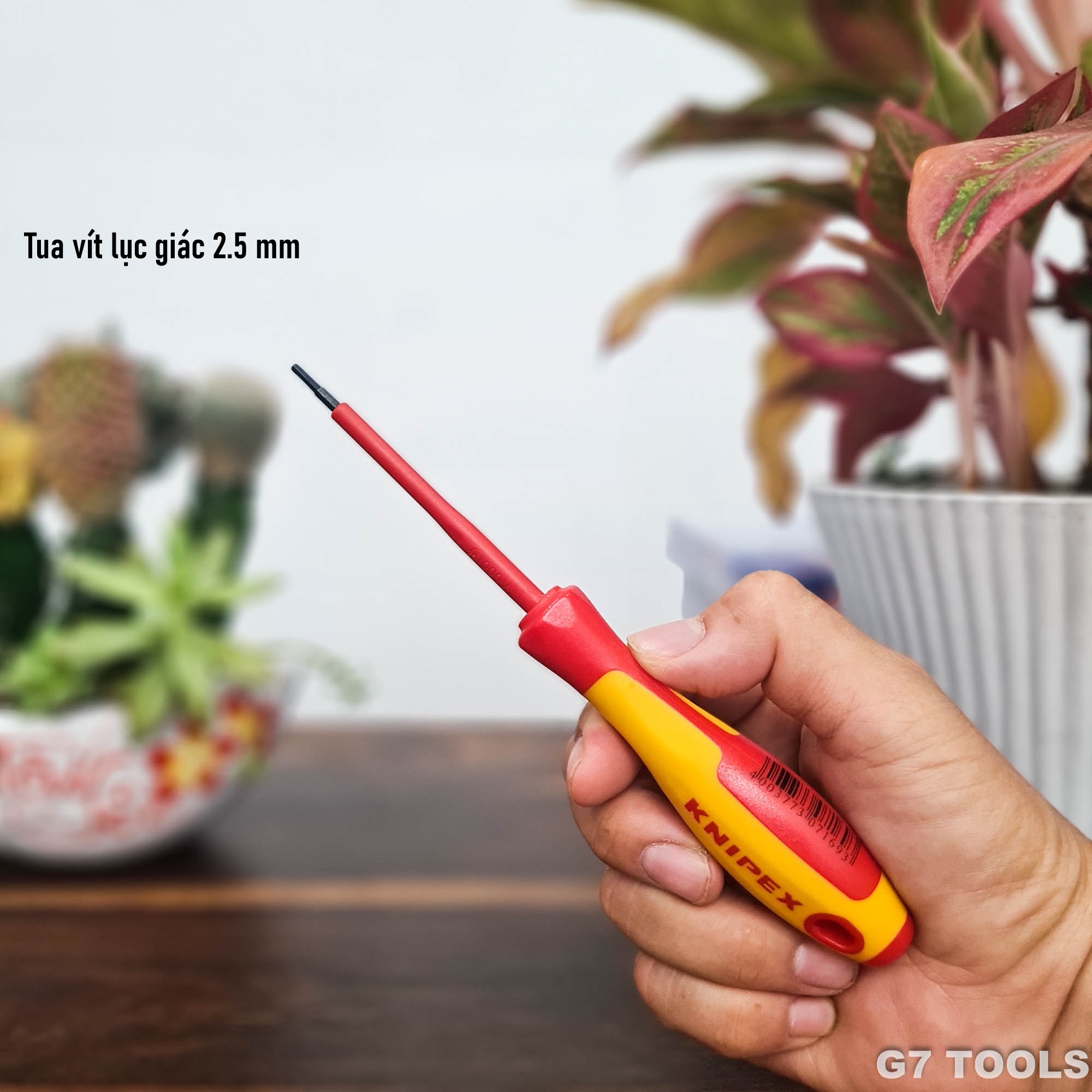 Knipex 98 13 25 - Tua Vít Mũi Lục Giác 2.5mm Cách Điện 1000 Volt