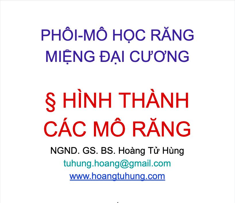 [GÓC CUNG CẤP KIẾN THỨC] ĐẠI CƯƠNG VỀ SỰ HÌNH THÀNH CÁC MÔ RĂNG